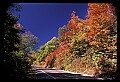 02121-00289-West Virginia Fall Color.jpg