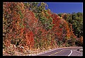 02121-00290-West Virginia Fall Color.jpg