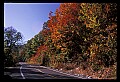02121-00291-West Virginia Fall Color.jpg