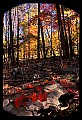 02121-00292-West Virginia Fall Color.jpg