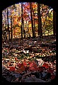 02121-00293-West Virginia Fall Color.jpg