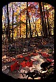 02121-00297-West Virginia Fall Color.jpg