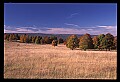02121-00306-West Virginia Fall Color.jpg
