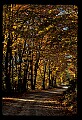 02121-00311-West Virginia Fall Color.jpg
