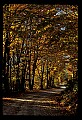 02121-00312-West Virginia Fall Color.jpg