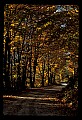 02121-00313-West Virginia Fall Color.jpg