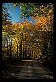 02121-00318-West Virginia Fall Color.jpg