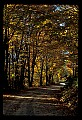 02121-00319-West Virginia Fall Color.jpg