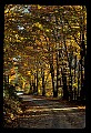 02121-00320-West Virginia Fall Color.jpg