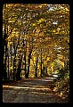 02121-00321-West Virginia Fall Color.jpg