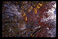 02121-00328-West Virginia Fall Color.jpg