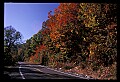 02121-00333-West Virginia Fall Color.jpg