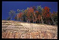 02121-00342-West Virginia Fall Color.jpg