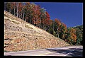 02121-00346-West Virginia Fall Color.jpg