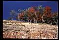 02121-00348-West Virginia Fall Color.jpg