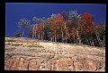 02121-00349-West Virginia Fall Color.jpg