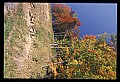 02121-00351-West Virginia Fall Color.jpg