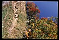 02121-00352-West Virginia Fall Color.jpg