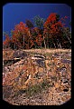 02121-00353-West Virginia Fall Color.jpg
