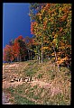 02121-00357-West Virginia Fall Color.jpg
