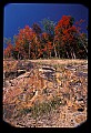 02121-00361-West Virginia Fall Color.jpg