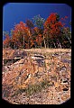 02121-00362-West Virginia Fall Color.jpg