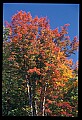 02121-00364-West Virginia Fall Color.jpg
