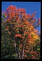 02121-00365-West Virginia Fall Color.jpg
