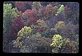 02121-00373-West Virginia Fall Color.jpg