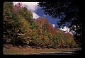 02121-00376-West Virginia Fall Color.jpg