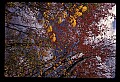 02121-00380-West Virginia Fall Color.jpg