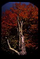 02121-00393-West Virginia Fall Color.jpg