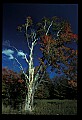02121-00397-West Virginia Fall Color.jpg