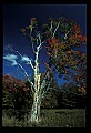 02121-00398-West Virginia Fall Color.jpg