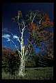 02121-00399-West Virginia Fall Color.jpg