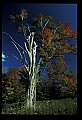 02121-00400-West Virginia Fall Color.jpg