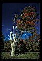 02121-00408-West Virginia Fall Color.jpg