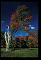 02121-00410-West Virginia Fall Color.jpg