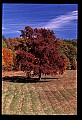02121-00414-West Virginia Fall Color.jpg