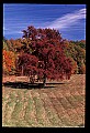 02121-00415-West Virginia Fall Color.jpg