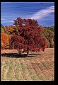 02121-00416-West Virginia Fall Color.jpg