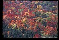 02121-00428-West Virginia Fall Color.jpg