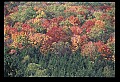 02121-00430-West Virginia Fall Color.jpg