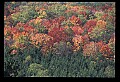02121-00431-West Virginia Fall Color.jpg