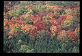 02121-00432-West Virginia Fall Color.jpg