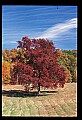 02121-00433-West Virginia Fall Color.jpg