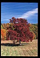 02121-00435-West Virginia Fall Color.jpg