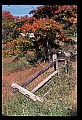 02121-00436-West Virginia Fall Color.jpg