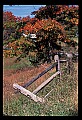 02121-00437-West Virginia Fall Color.jpg
