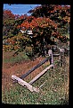 02121-00438-West Virginia Fall Color.jpg